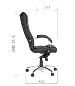 Кресло офисное CHAIRMAN 480 Экокожа премиум черная в Петропавловске-Камчатском - предосмотр 2